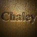 Profile Picture of Chaley (@chaleyo) on Pinterest