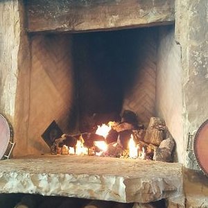 Profile Picture of Jacob Waldman (@Treehog123) on Twitter