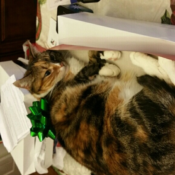 Profile Picture of Amanda Diglio (@klaatubarada) on Poshmark