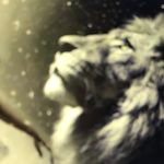 Profile Picture of Steven oddo (@soddo40725) on Instagram