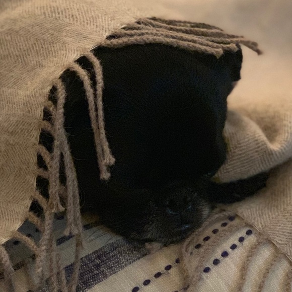 Profile Picture of Lisa Schwert (@lms1307) on Poshmark