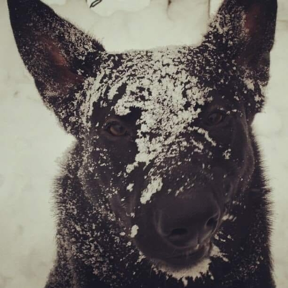 Profile Picture of David Mahon (@hatebreeddave) on Poshmark