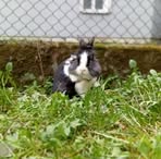 Profile Picture of Amelia Tabor (@amelia.tabor.31) on Facebook