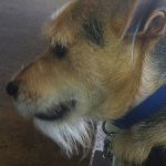 Profile Picture of Steve Jimenez (@saintrojafilms) on Instagram