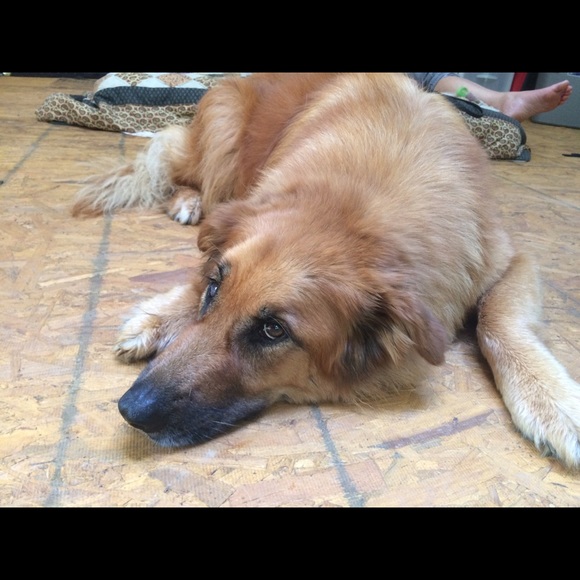 Profile Picture of Fritz Ifert-miller (@fritzx6) on Poshmark