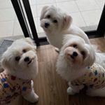 Profile Picture of Neville Aaron Alcantara (@nevillealcantara) on Instagram