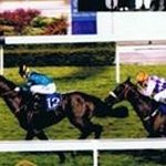 Profile Picture of Peter Braem (@jockeybraem) on Instagram