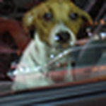 Profile Picture of Brian.mayfield (@brian.mayfield) on Flickr