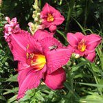 Profile Picture of John Wimbish (@sillykixinfamous) on Instagram