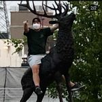 Profile Picture of Dave | Best of the Best in Sportscards (@bestcards808) on Instagram