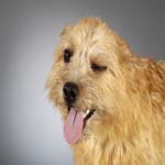 Profile Picture of EileenMullins (@eileenmullinsm) on Instagram