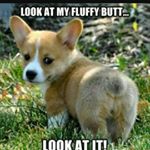 Profile Picture of Sam Hardeman (@hardemansam) on Instagram