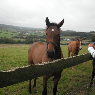 Profile Picture of Lucy Burr (@lucyboss1) on Twitter