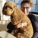 Profile Picture of Nancy Shane (@nancy.shane) on Instagram