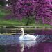 Profile Picture of Janet M. Wilson (@janetwilson56) on Pinterest