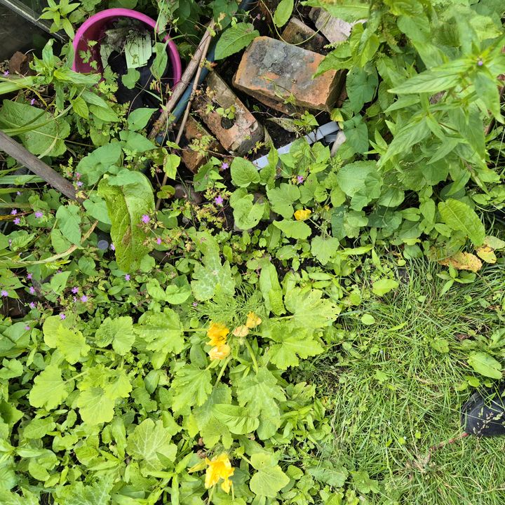 Profile Picture of Craig (@craig.ramsden) on Tiktok