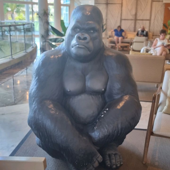 Profile Picture of just vickie (@just.vickie2) on Tiktok