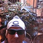 Profile Picture of Bobby Scurlock (@docscurlock10) on Instagram