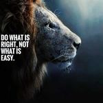 Profile Picture of Brandon Hanley (@stubbornroar_leolionhearted) on Instagram