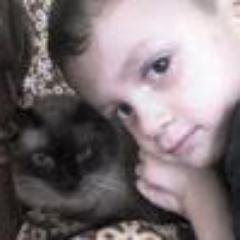 Profile Picture of Fidel Borrego (@fidelborrego1) on Twitter