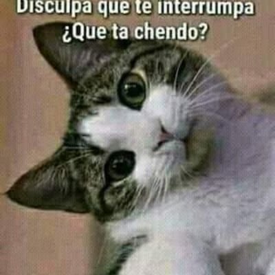 Profile Picture of Blanca Doris Perez Falcon (@BlancaDorisPer2) on Twitter