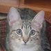 Profile Picture of Theodore Caron (@theodore.caron.12) on Facebook