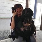 Profile Picture of Mari Takai (@mtakai) on Instagram