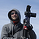 Profile Picture of Cougar (@Fitzgibberish) on Flickr