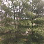 Profile Picture of Andrew Bunton (@andrew_bunton5) on Instagram