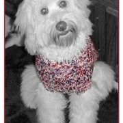 Profile Picture of Marlo Moody (@kristimoody) on Pinterest