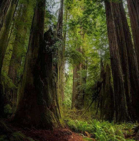 Profile Picture of Lora Bates (@dreamersworld) on Poshmark