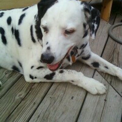 Profile Picture of Dave VanGundy (@DavidVanGundy) on Twitter