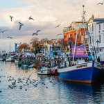 Profile Picture of Kristopher Lancaster (@kristopherlancaster) on Instagram