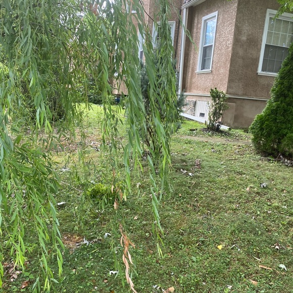 Profile Picture of Jamillah❤️. Madyun (@lightskinn2) on Poshmark