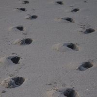 Profile Picture of Linda Schmitt (@linda-schmitt-12) on Quora