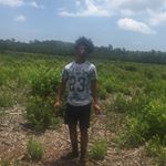 Profile Picture of TBG_ANT (@anthonywatson45) on Instagram