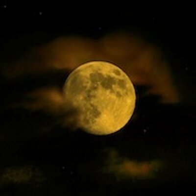 Profile Picture of Pamela Redd (@Pamela_Redd) on Twitter