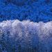 Profile Picture of Andrew Milburn (@abmilburn0250) on Pinterest