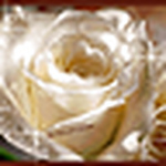 Profile Picture of Jeffrey Walker (@jwalkndt) on Flickr