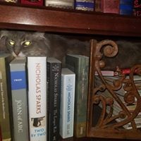 Profile Picture of Taylor Heinz (@taylor-heinz-3) on Quora