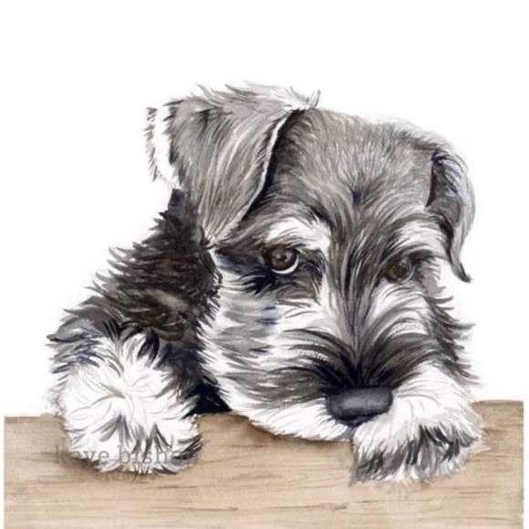 Profile Picture of Kimura Kimura (@ingvar_19s) on Poshmark