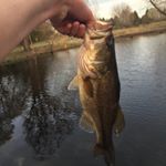 Profile Picture of Jacob Grissom (@xx_jgriss_xx) on Instagram