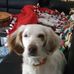 Profile Picture of John Bilodeau (@john.bilodeau.54) on Facebook