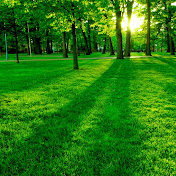 Profile Picture of Sebastian Paz (@sebastianpaz7899) on Youtube