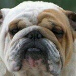 Profile Picture of Develia Sandoval (@develiasandoval) on Instagram