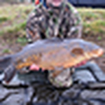 Profile Picture of Vicki and Mark Andrews (@Grainthorpe Carp Lake) on Flickr