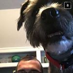 Profile Picture of Matthew Neff (@famousneff) on Instagram