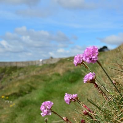 Profile Picture of James J Spratt (@jimdub1) on Twitter