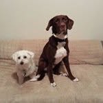 Profile Picture of Heidi And-Bob Brammer (@brammerheidi) on Instagram