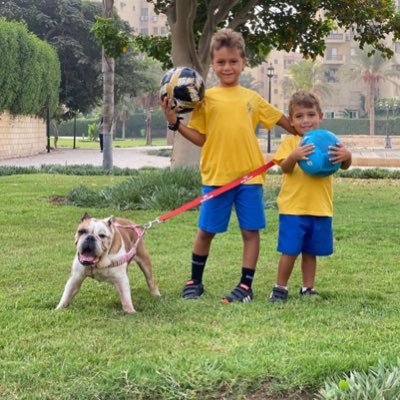 Profile Picture of Amy Ramzy Seif (@SeifAmal) on Twitter